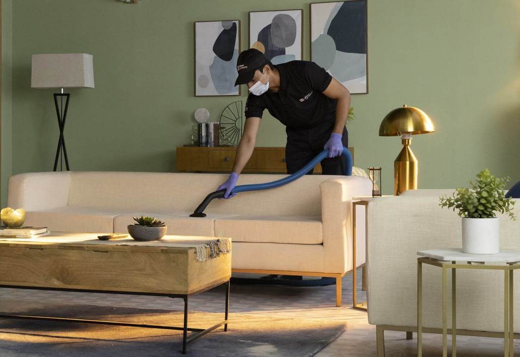 sofa and carpet cleaning services